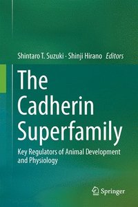 bokomslag The Cadherin Superfamily