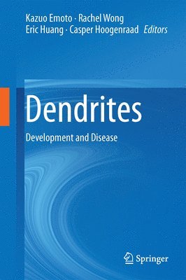 Dendrites 1