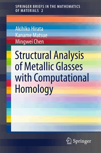 Akihiko Hirata, Kaname Matsue, Mingwei Chen - Structural Analysis of Metallic Glasses with Computational Homology, Häftad