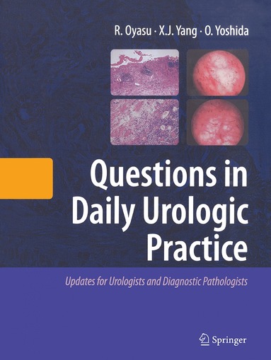 bokomslag Questions in Daily Urologic Practice