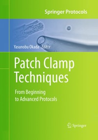 bokomslag Patch Clamp Techniques