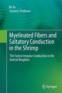 bokomslag Myelinated Fibers and Saltatory Conduction in the Shrimp