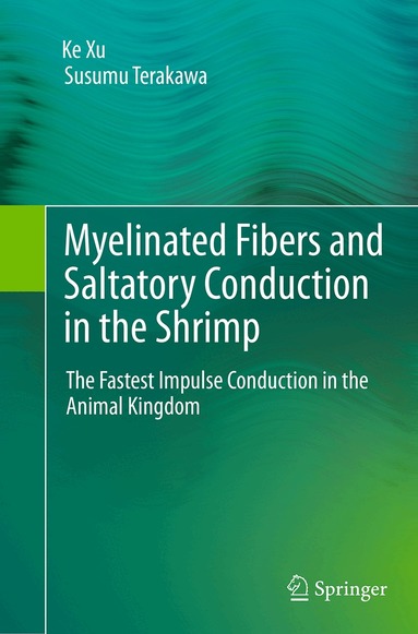 Ke Xu, Susumu Terakawa - Myelinated Fibers and Saltatory Conduction in the Shrimp, Häftad