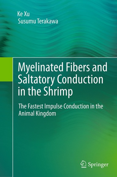 bokomslag Myelinated Fibers and Saltatory Conduction in the Shrimp