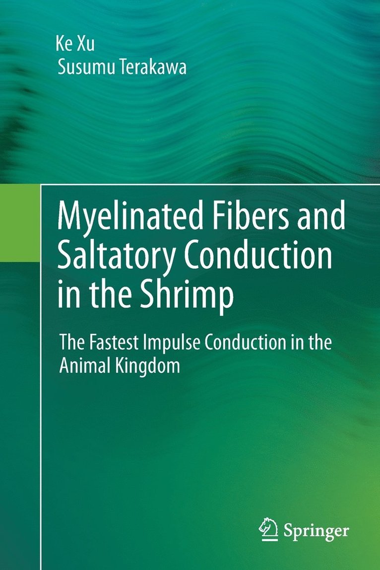 Myelinated Fibers and Saltatory Conduction in the Shrimp