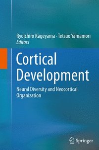 bokomslag Cortical Development