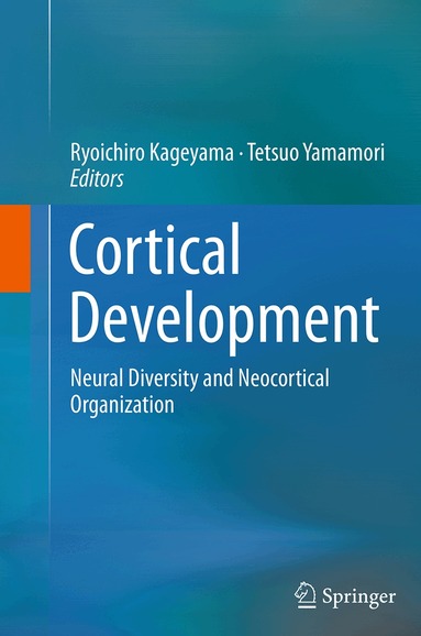 Ryoichiro Kageyama, Tetsuo Yamamori - Cortical Development, Häftad