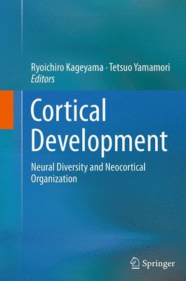 Cortical Development