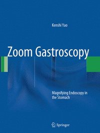 bokomslag Zoom Gastroscopy