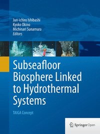bokomslag Subseafloor Biosphere Linked to Hydrothermal Systems