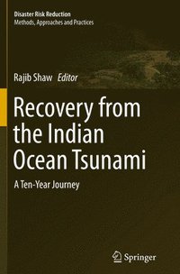 bokomslag Recovery from the Indian Ocean Tsunami