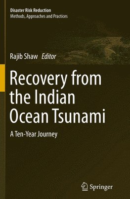 bokomslag Recovery from the Indian Ocean Tsunami