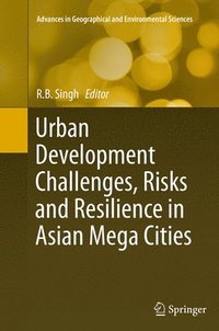 bokomslag Urban Development Challenges, Risks and Resilience in Asian Mega Cities