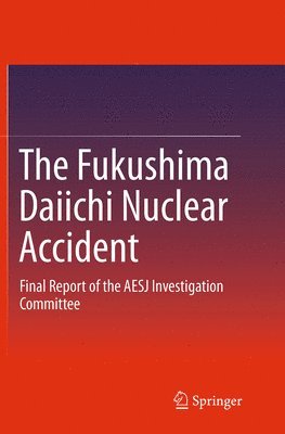 bokomslag The Fukushima Daiichi Nuclear Accident