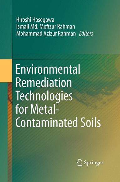 bokomslag Environmental Remediation Technologies for Metal-Contaminated Soils