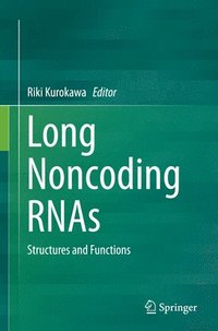 bokomslag Long Noncoding RNAs