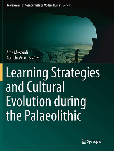 Alex Mesoudi, Kenichi Aoki - Learning Strategies and Cultural Evolution during the Palaeolithic, Häftad