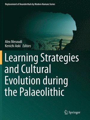bokomslag Learning Strategies and Cultural Evolution during the Palaeolithic