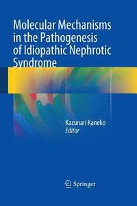 bokomslag Molecular Mechanisms in the Pathogenesis of Idiopathic Nephrotic Syndrome
