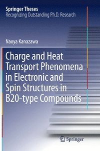 bokomslag Charge and Heat Transport Phenomena in Electronic and Spin Structures in B20-type Compounds