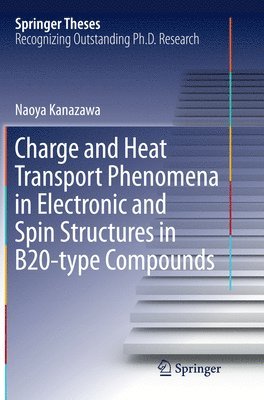 bokomslag Charge and Heat Transport Phenomena in Electronic and Spin Structures in B20-type Compounds