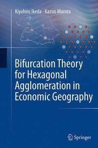 bokomslag Bifurcation Theory for Hexagonal Agglomeration in Economic Geography