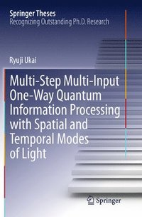 bokomslag Multi-Step Multi-Input One-Way Quantum Information Processing with Spatial and Temporal Modes of Light