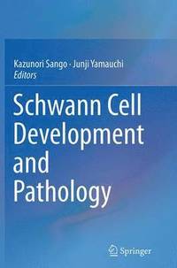 bokomslag Schwann Cell Development and Pathology