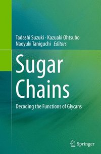 bokomslag Sugar Chains