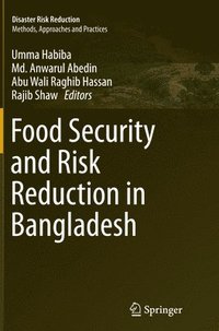 bokomslag Food Security and Risk Reduction in Bangladesh