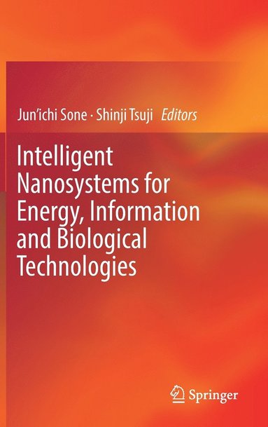 bokomslag Intelligent Nanosystems for Energy, Information and Biological Technologies