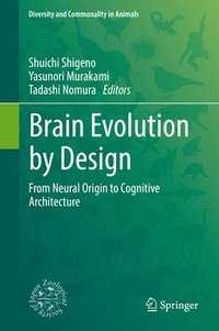 bokomslag Brain Evolution by Design