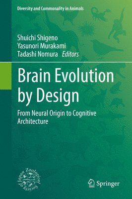 Brain Evolution by Design 1