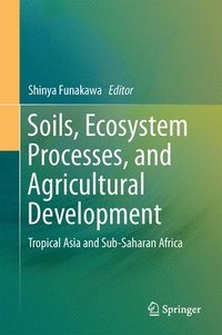 bokomslag Soils, Ecosystem Processes, and Agricultural Development