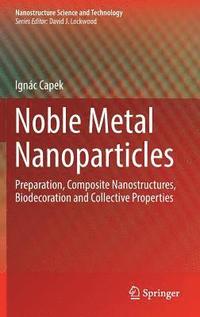 bokomslag Noble Metal Nanoparticles