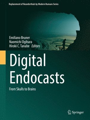 Digital Endocasts 1