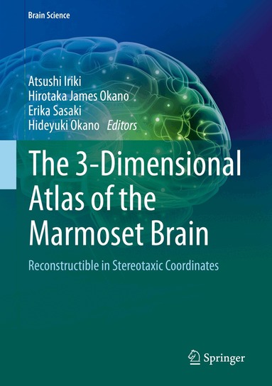 Atsushi Iriki, Hirotaka James Okano, Erika Sasaki, Hideyuki Okano - 3-Dimensional Atlas of the Marmoset Brain, Inbunden