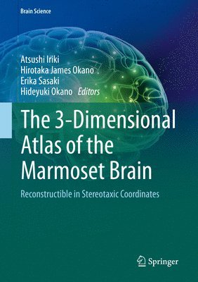 Atsushi Iriki, Hirotaka James Okano, Erika Sasaki, Hideyuki Okano - 3-Dimensional Atlas of the Marmoset Brain, Inbunden