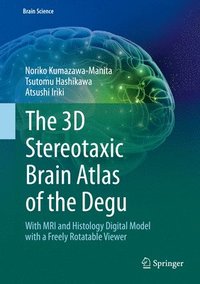 bokomslag The 3D Stereotaxic Brain Atlas of the Degu