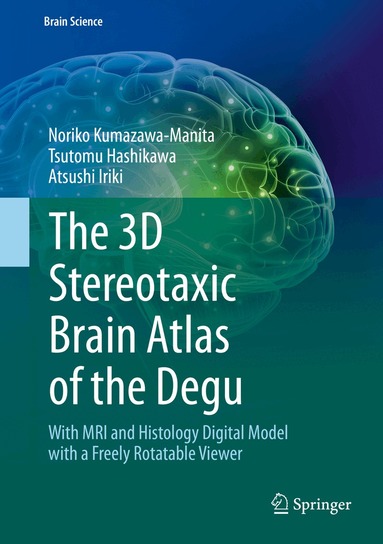 Noriko Kumazawa-Manita, Tsutomu Hashikawa, Atsushi Iriki - 3D Stereotaxic Brain Atlas of the Degu, Inbunden