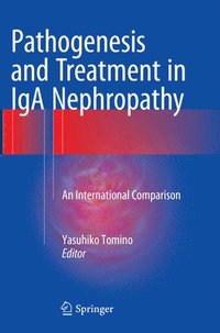 bokomslag Pathogenesis and Treatment in IgA Nephropathy