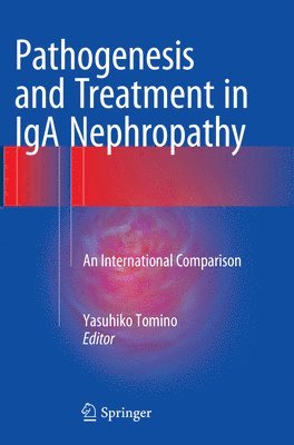 Pathogenesis and Treatment in IgA Nephropathy 1