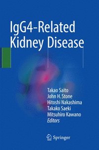 bokomslag IgG4-Related Kidney Disease
