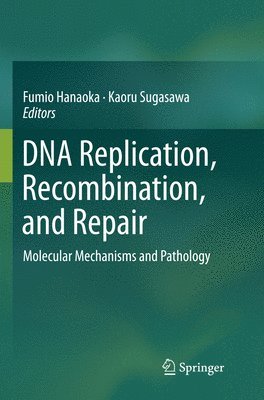 bokomslag DNA Replication, Recombination, and Repair