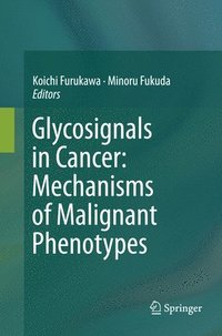 bokomslag Glycosignals in Cancer: Mechanisms of Malignant Phenotypes