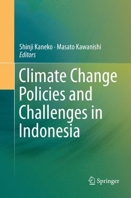 bokomslag Climate Change Policies and Challenges in Indonesia