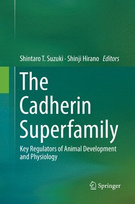 The Cadherin Superfamily 1
