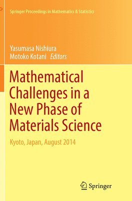 bokomslag Mathematical Challenges in a New Phase of Materials Science