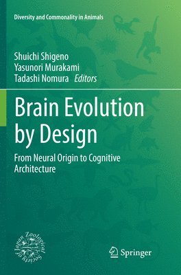 bokomslag Brain Evolution by Design