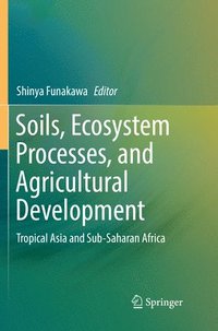 bokomslag Soils, Ecosystem Processes, and Agricultural Development
